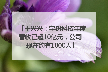 王兴兴：宇树科技年度营收已超10亿元，公司现在约有1000人