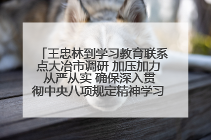 王忠林到学习教育联系点大冶市调研 加压加力 从严从实 确保深入贯彻中央八项规定精神学习教育取得实效