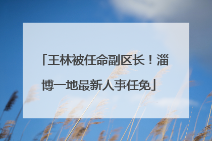 王林被任命副区长！淄博一地最新人事任免