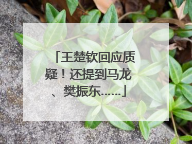 王楚钦回应质疑！还提到马龙、樊振东……