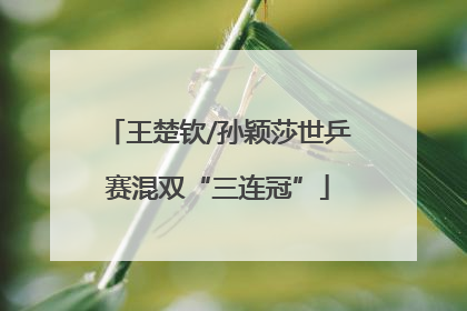 王楚钦/孙颖莎世乒赛混双“三连冠”