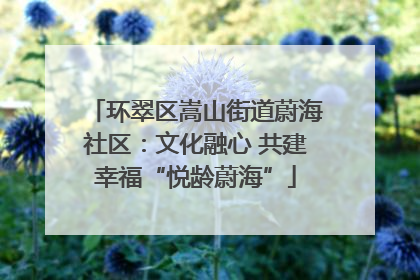 环翠区嵩山街道蔚海社区：文化融心 共建幸福“悦龄蔚海”