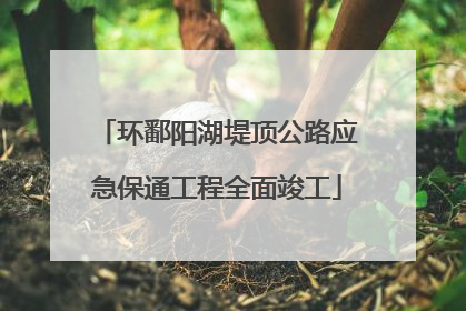 环鄱阳湖堤顶公路应急保通工程全面竣工