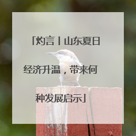 灼言丨山东夏日经济升温，带来何种发展启示