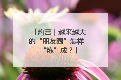 灼言｜越来越大的“朋友圈”怎样“炼”成？
