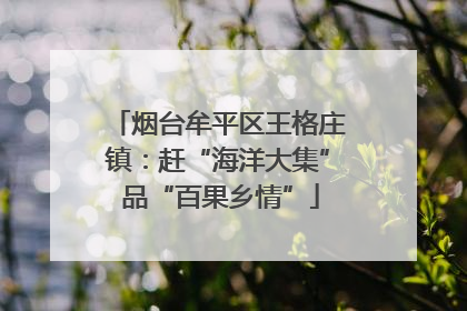 烟台牟平区王格庄镇：赶“海洋大集” 品“百果乡情”
