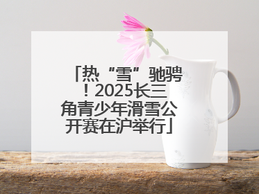 热“雪”驰骋！2025长三角青少年滑雪公开赛在沪举行