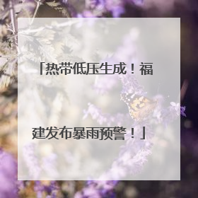 热带低压生成！福建发布暴雨预警！
