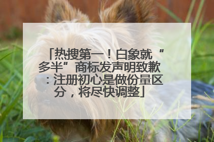 热搜第一！白象就“多半”商标发声明致歉：注册初心是做份量区分，将尽快调整