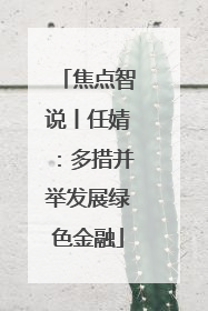 焦点智说丨任婧：多措并举发展绿色金融
