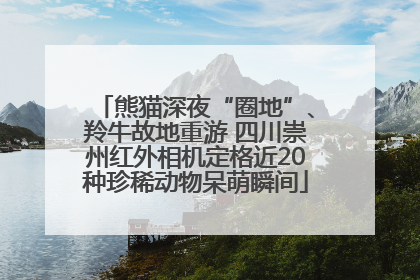 熊猫深夜“圈地”、羚牛故地重游 四川崇州红外相机定格近20种珍稀动物呆萌瞬间