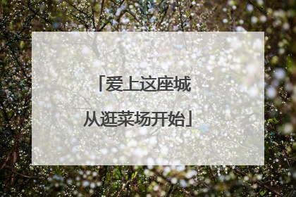 爱上这座城 从逛菜场开始