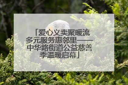 爱心义卖聚暖流 多元服务惠邻里——中华路街道公益慈善季温暖启幕