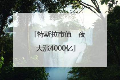 特斯拉市值一夜大涨4000亿