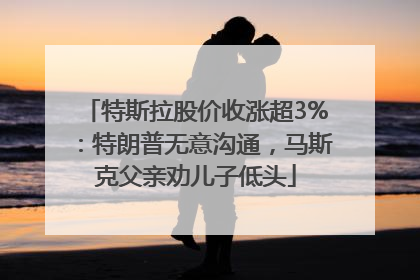 特斯拉股价收涨超3%：特朗普无意沟通，马斯克父亲劝儿子低头