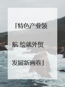 特色产业领航 绘就外贸发展新画卷
