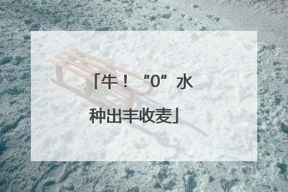 牛！“0”水种出丰收麦