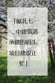 献礼七一，中建筑港承建的码头项目建设正忙