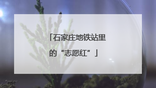 石家庄地铁站里的“志愿红”