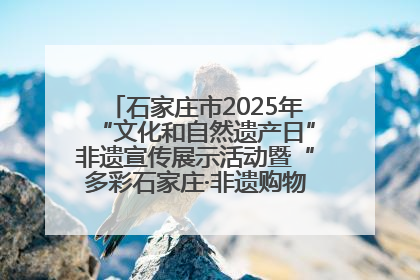 石家庄市2025年“文化和自然遗产日”非遗宣传展示活动暨“多彩石家庄·非遗购物节”倒计时1天