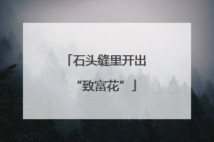 石头缝里开出“致富花”