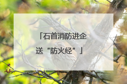 石首消防进企送“防火经”