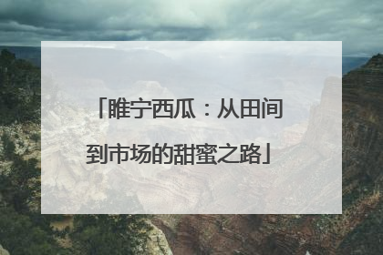 睢宁西瓜：从田间到市场的甜蜜之路