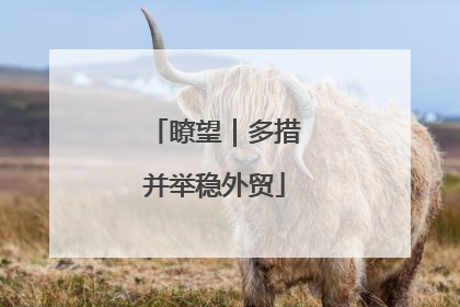 瞭望｜多措并举稳外贸
