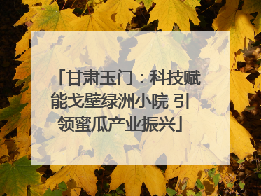 甘肃玉门：科技赋能戈壁绿洲小院 引领蜜瓜产业振兴