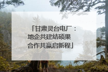 甘肃灵台电厂：地企共建结硕果 合作共赢启新程