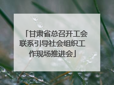 甘肃省总召开工会联系引导社会组织工作现场推进会