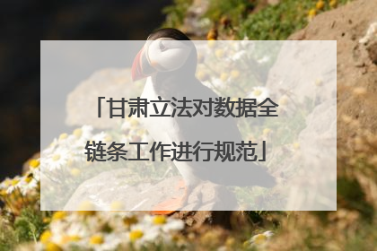 甘肃立法对数据全链条工作进行规范