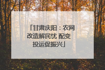 甘肃庆阳：农网改造解民忧 配变投运促振兴