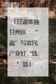 甘肃张掖甘州区：“蔬”写富民产业好“钱”景