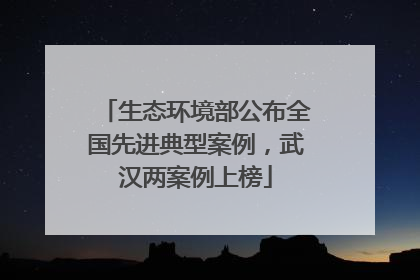 生态环境部公布全国先进典型案例，武汉两案例上榜