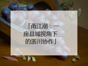 甬江潮：一座县域视角下的浙川协作