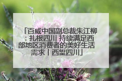 百威中国副总裁朱江柳：扎根四川 持续满足西部地区消费者的美好生活需求丨西望四川