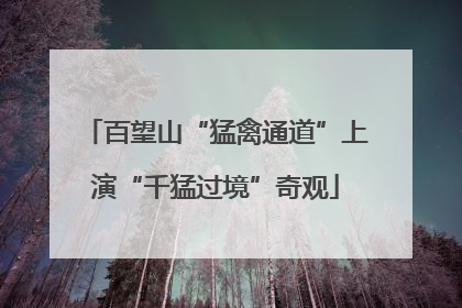 百望山“猛禽通道”上演“千猛过境”奇观