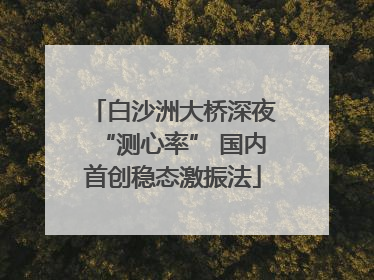 白沙洲大桥深夜“测心率” 国内首创稳态激振法