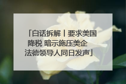 白话拆解丨要求美国降税 暗示施压美企 法德领导人同日发声