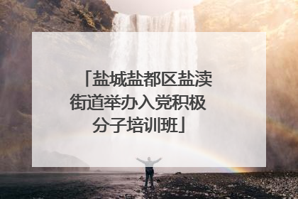 盐城盐都区盐渎街道举办入党积极分子培训班