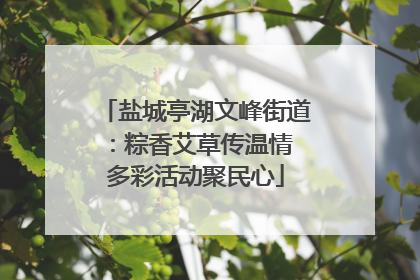 盐城亭湖文峰街道：粽香艾草传温情 多彩活动聚民心