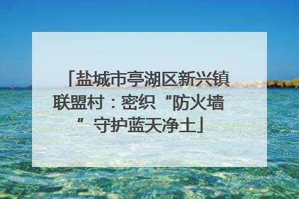 盐城市亭湖区新兴镇联盟村：密织“防火墙”守护蓝天净土