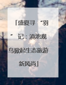 盛夏寻 “羽” 记：滇池观鸟掀起生态旅游新风尚