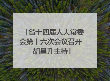 省十四届人大常委会第十六次会议召开 胡昌升主持