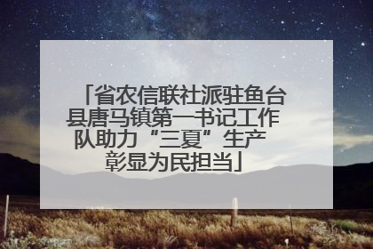 省农信联社派驻鱼台县唐马镇第一书记工作队助力“三夏”生产 彰显为民担当