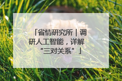 省情研究所｜调研人工智能，详解“三对关系”