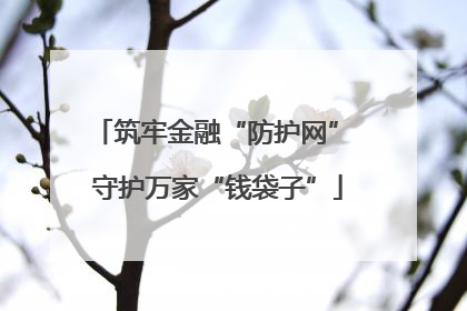 筑牢金融“防护网” 守护万家“钱袋子”