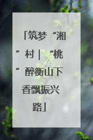 筑梦“湘”村｜“桃”醉衡山下 香飘振兴路