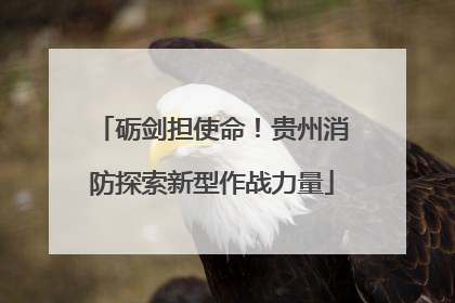 砺剑担使命！贵州消防探索新型作战力量
